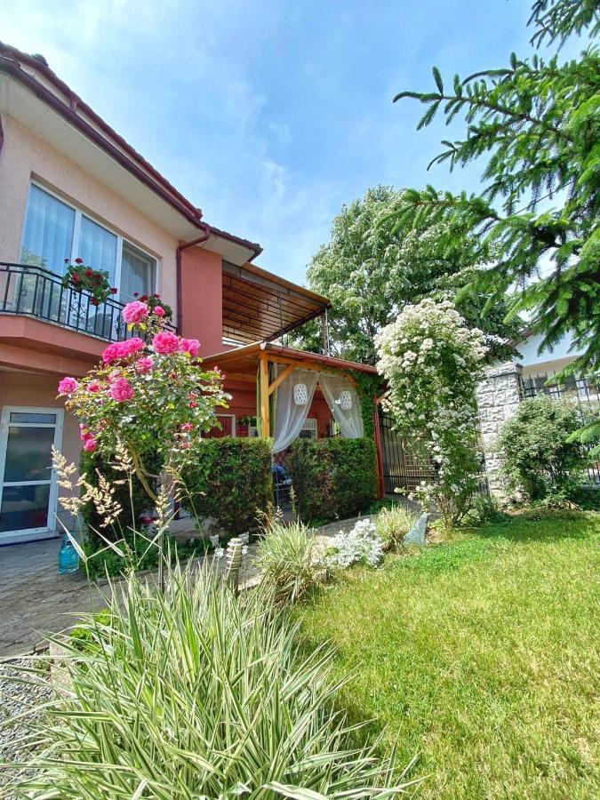 ホテル Casa Constantin Si Elena (Adults Only) エフォリエ・ノルド エクステリア 写真